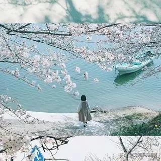 朋友圈九宫格怎么选择,朋友圈不需九宫格怎么操作