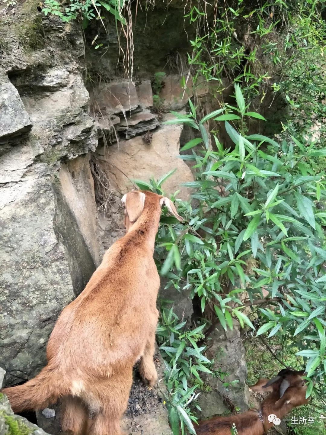一川碧水,一川碧水一重山
