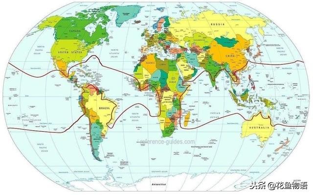椰子树属于什么类植物,椰子树是热带还是亚热带植物