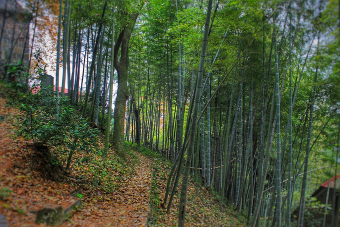 湖州周日游玩攻略推荐,湖州出游推荐