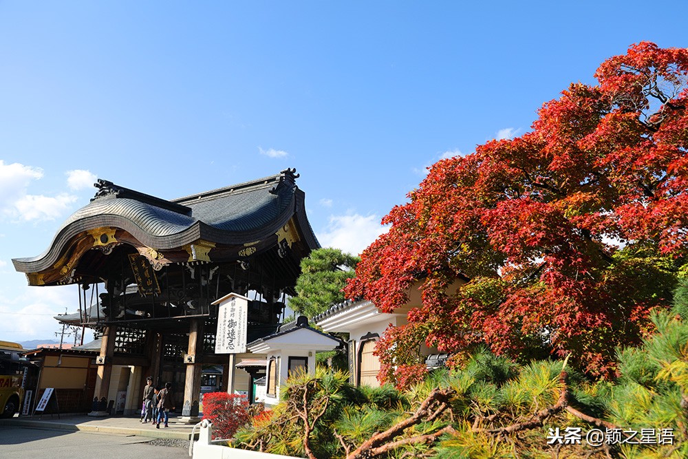 几千块的日本电饭煲,国产锅日本锅