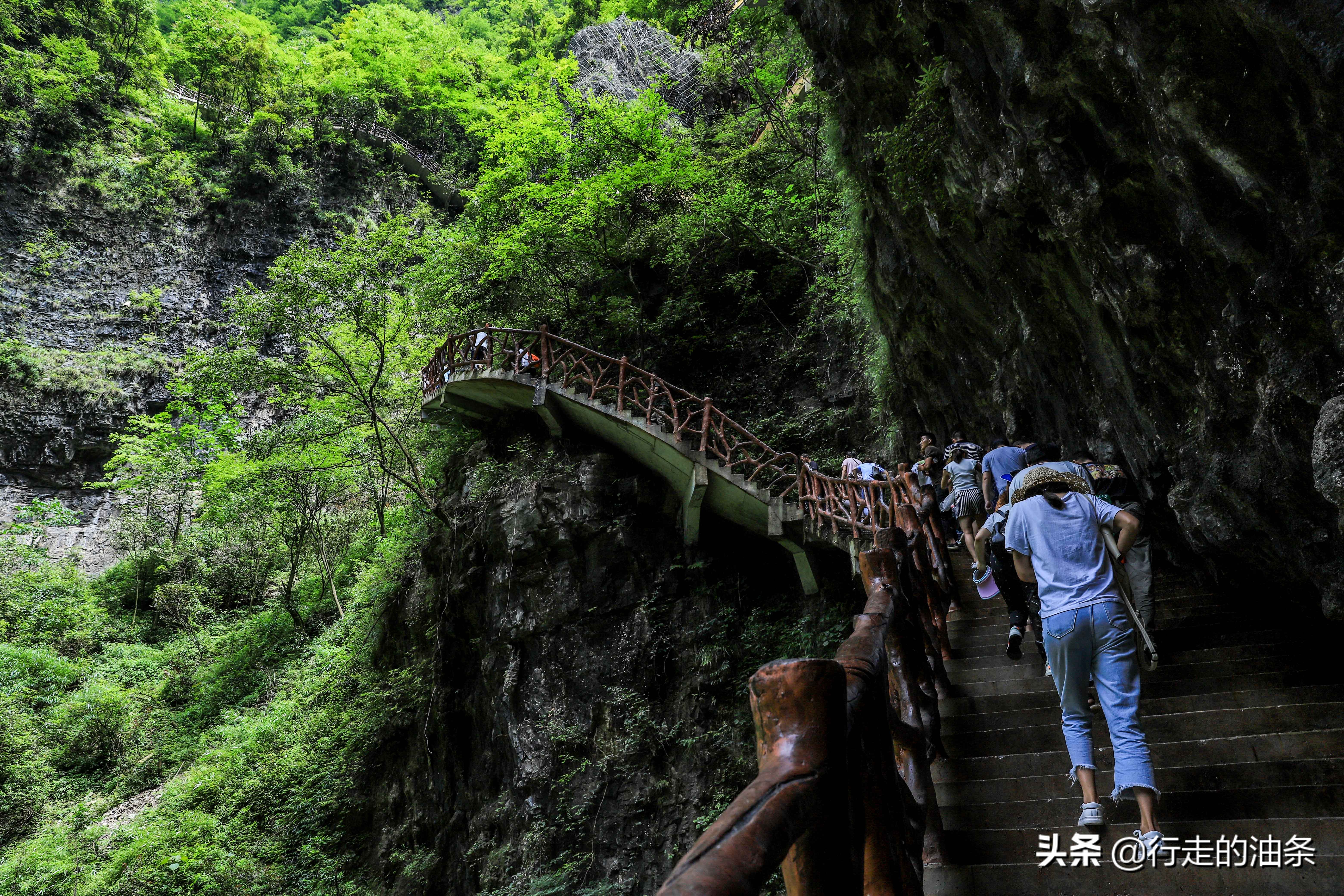 三峡竹海秭归,秭归三峡竹海