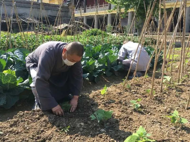抢抓农时开展农业生产,农民纷纷抢抓春耕生产有利时机
