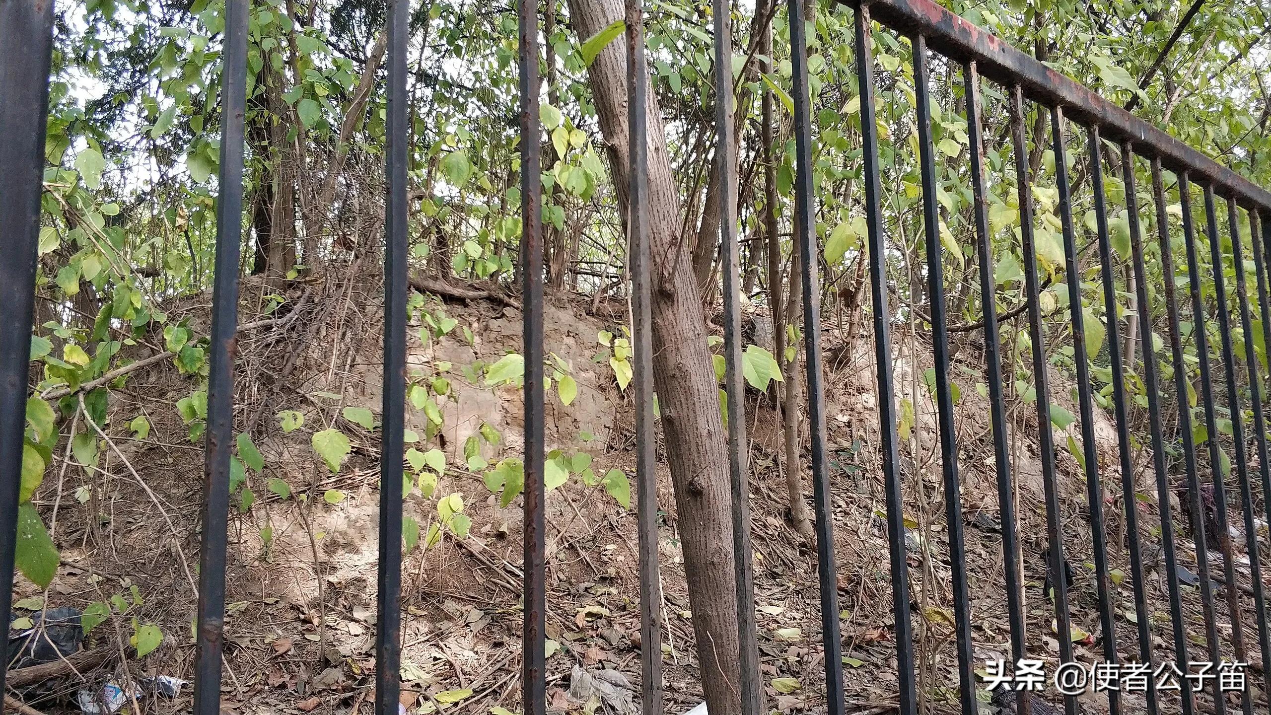 长安大明宫遗址公园,长安大明宫1-40集