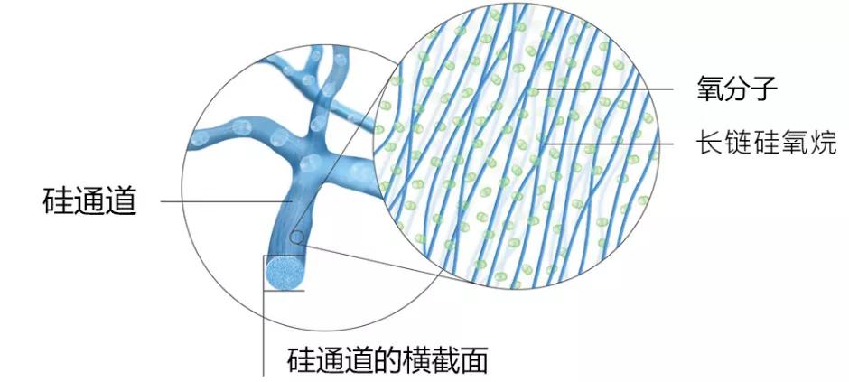 视力保健公司产品,视力保健项目的产品研发