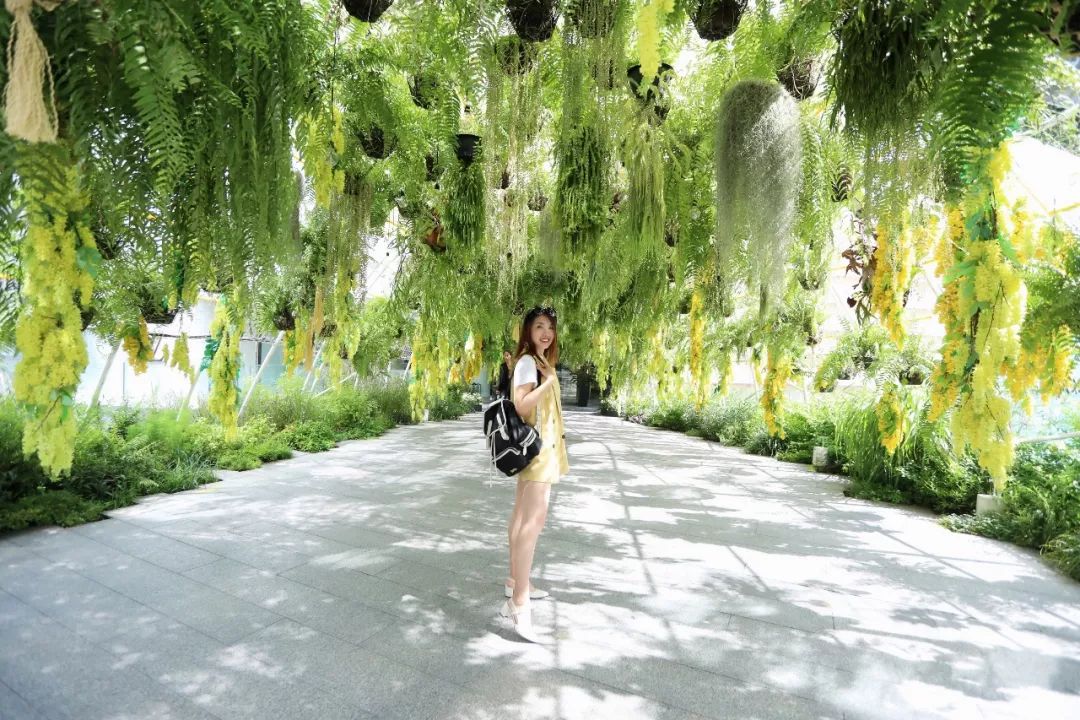 泰国曼谷逛吃攻略,泰国曼谷旅游攻略