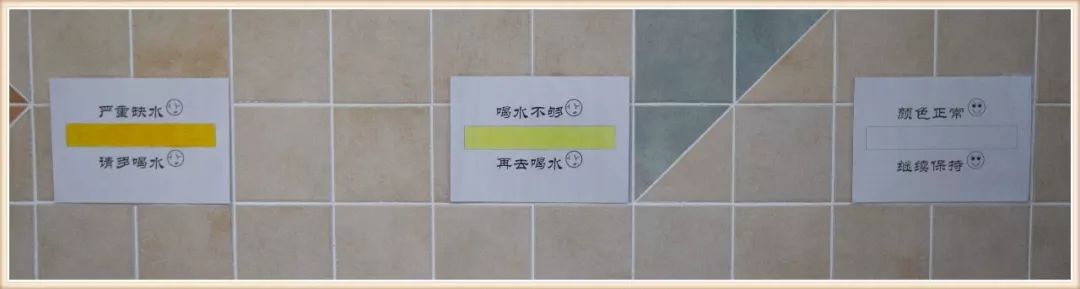 大班新学期环境创设实施方案,大大的小小的主题活动及环境创设