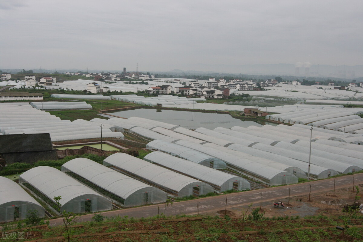 广西农业招商引资项目补贴,广西农业重大项目招商签约