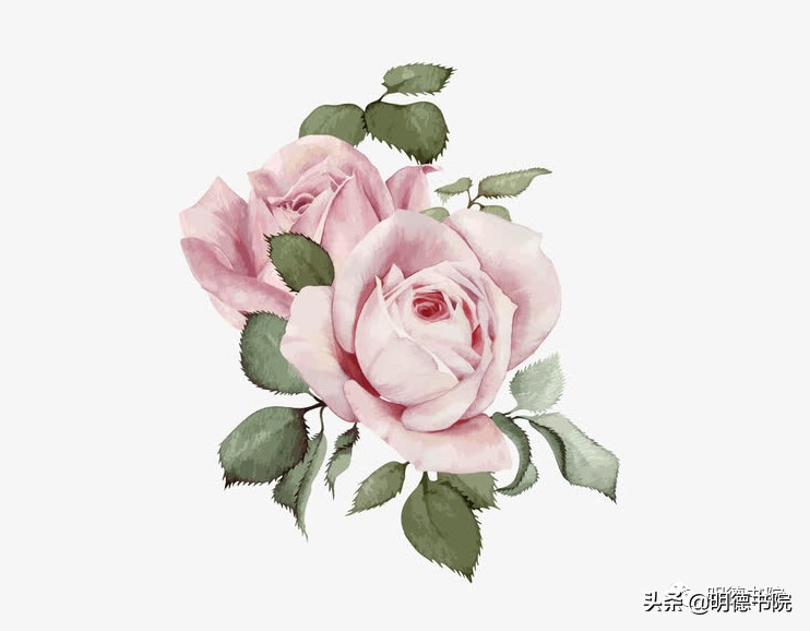 鲁迅先生经典作品祝福,鲁迅新年祝福语