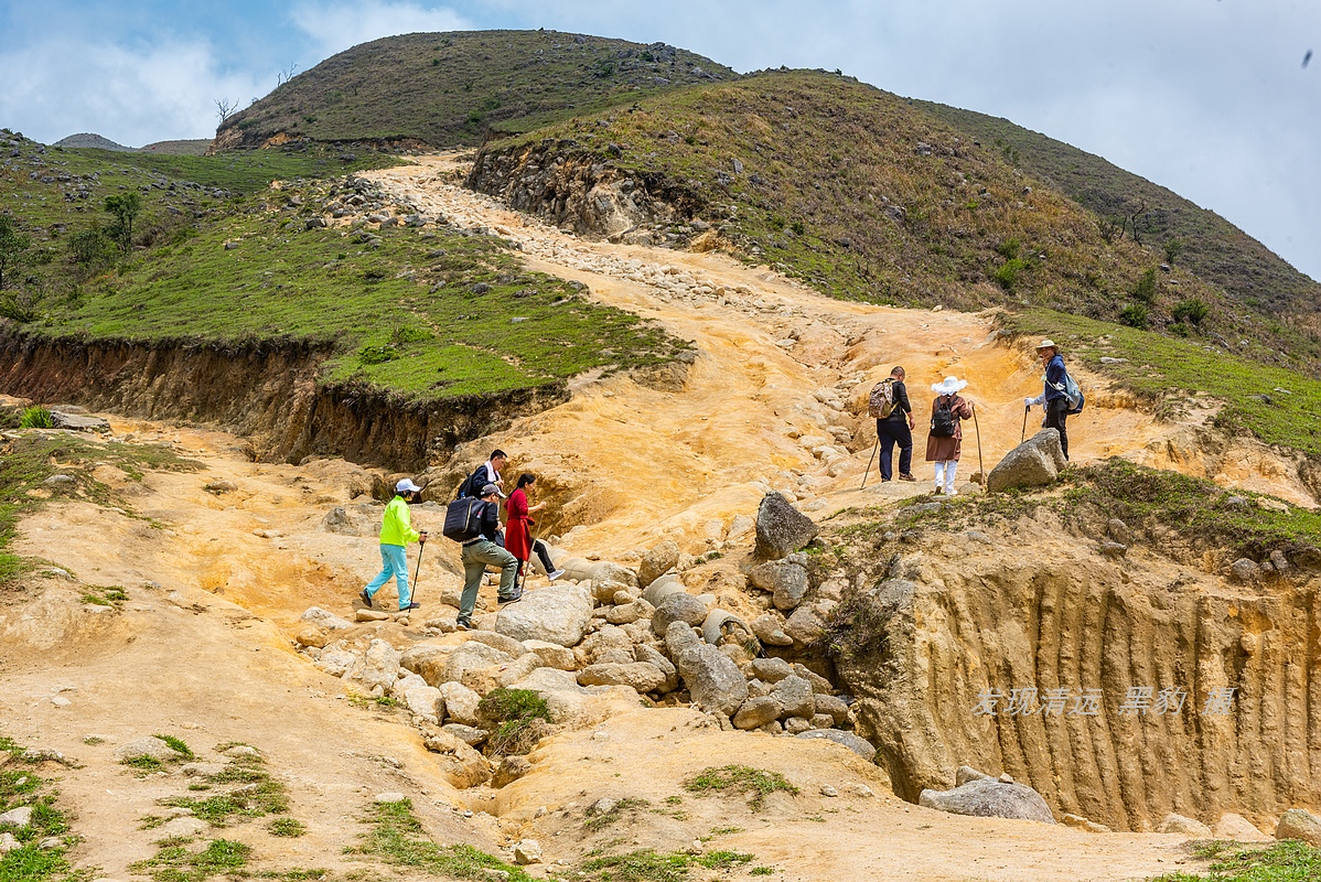 走最远的路,航拍广东最壮美的野生杜鹃花海