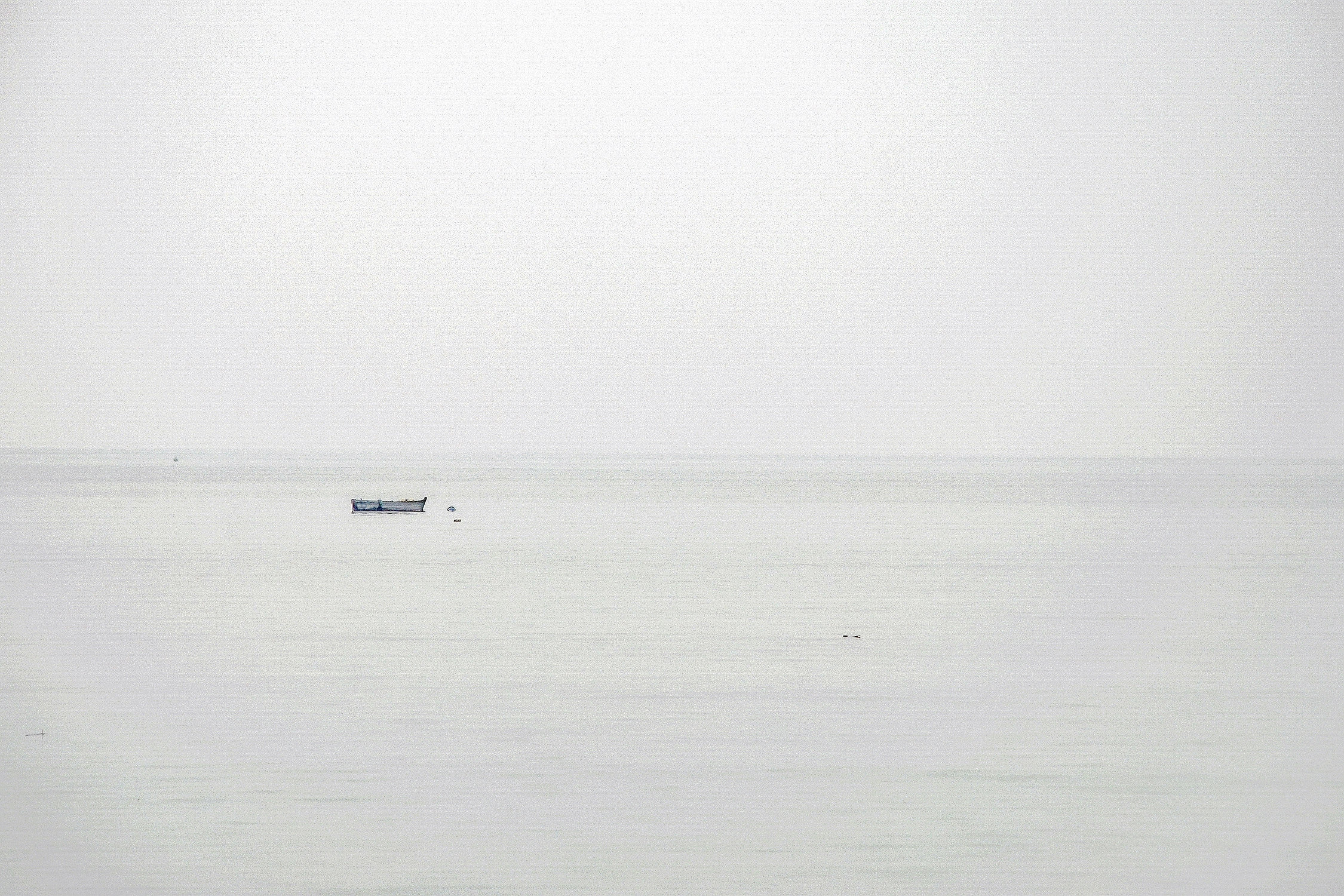 山有木兮心悦君兮君不知歌曲名,山有木兮心悦君兮君不知下一句