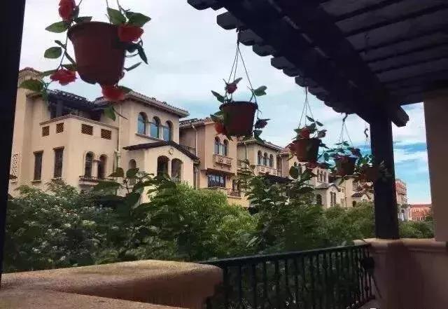 上海南汇：“金大团，银新场，铜周浦，铁惠南”这句话还灵吗？