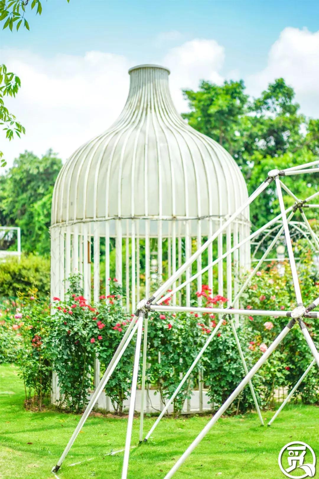 深圳「废弃染布厂」变废为宝，化身“湖畔花园”美若世外桃源！