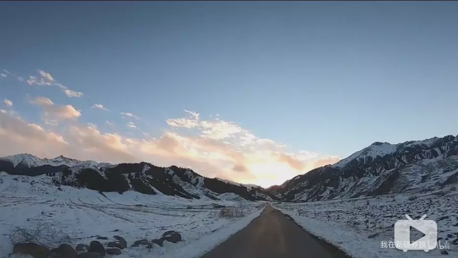 养狼disco：我在*疆新**，把狼养成了哈士奇