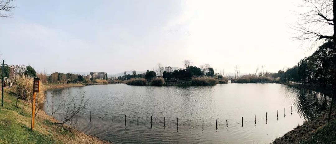 成都新增2个公园,成都到处都是公园城市