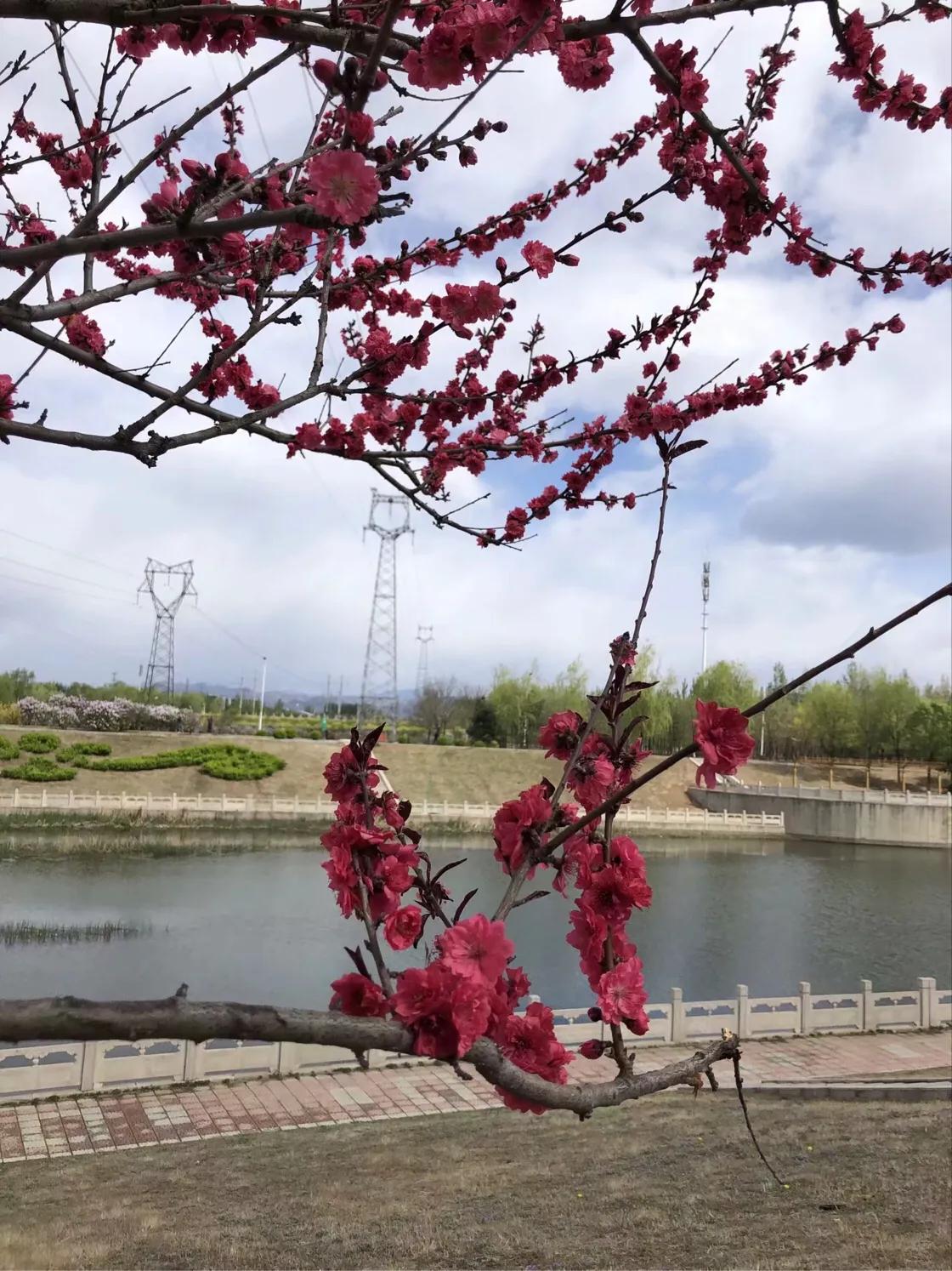 （原创）遵化醉美健身休闲地——沙河