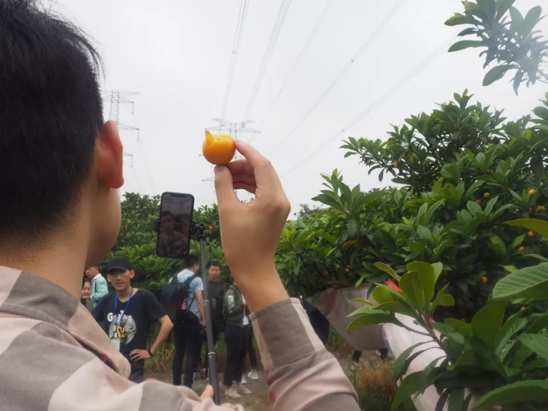 小编姐姐今天嗨翻了简直！接下来的半个月，你就交给塘栖和枇杷吧！