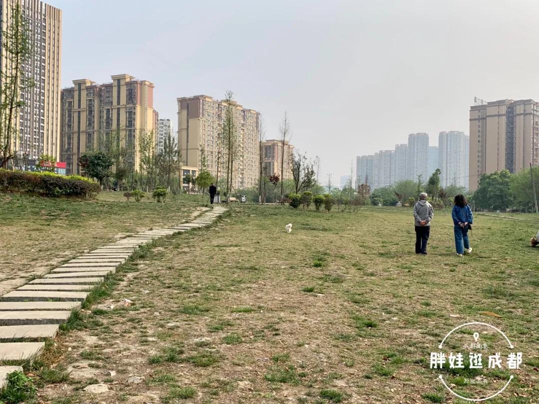 成都羊子山路遗址,成都羊子山古蜀文化街区