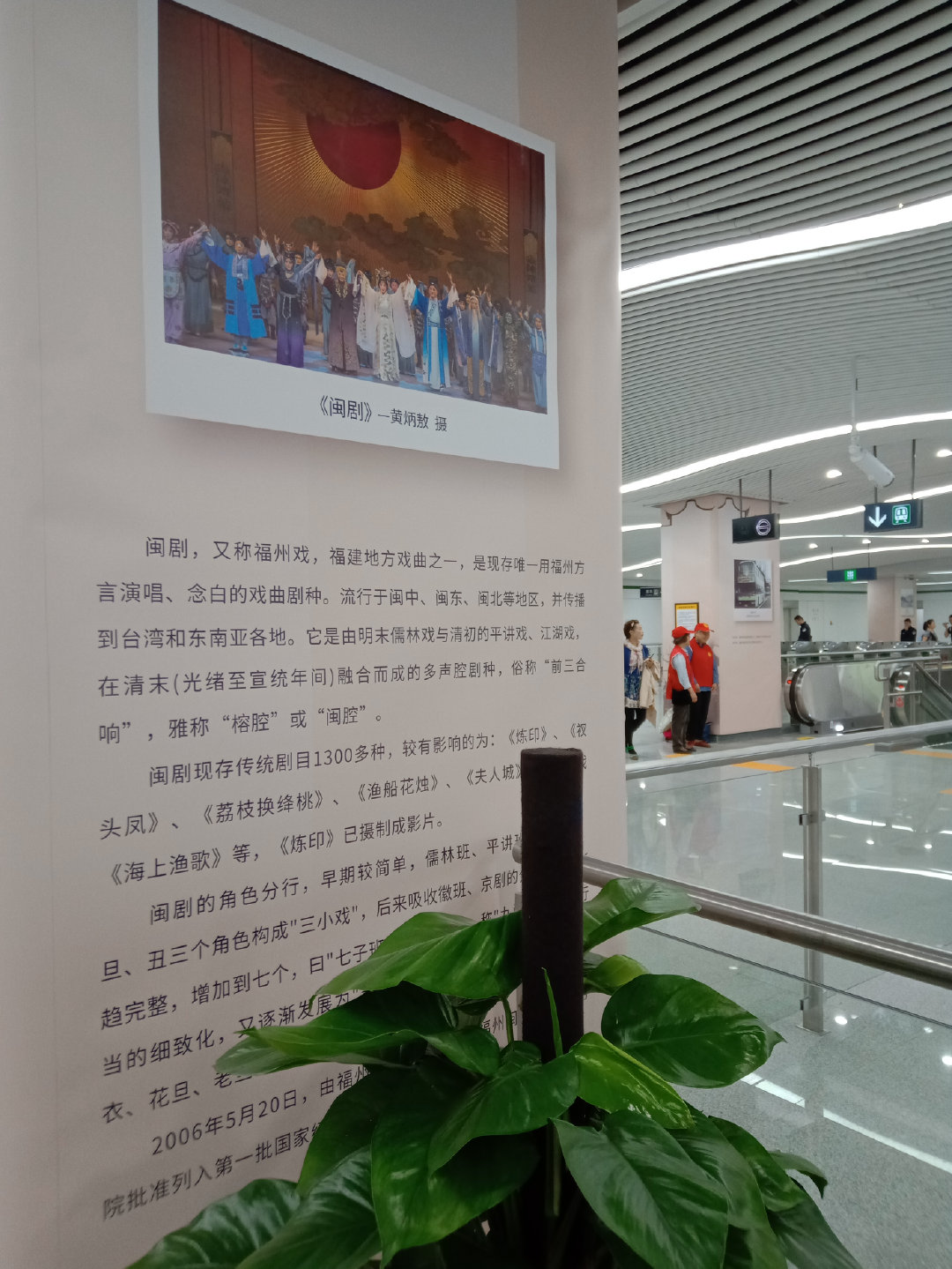 福州大学就像一座大公园，风景美到爆！最美的世界一流学科院校