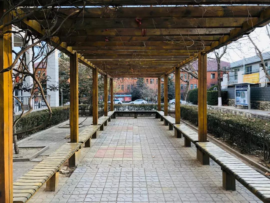 山东科技大学,不再见!