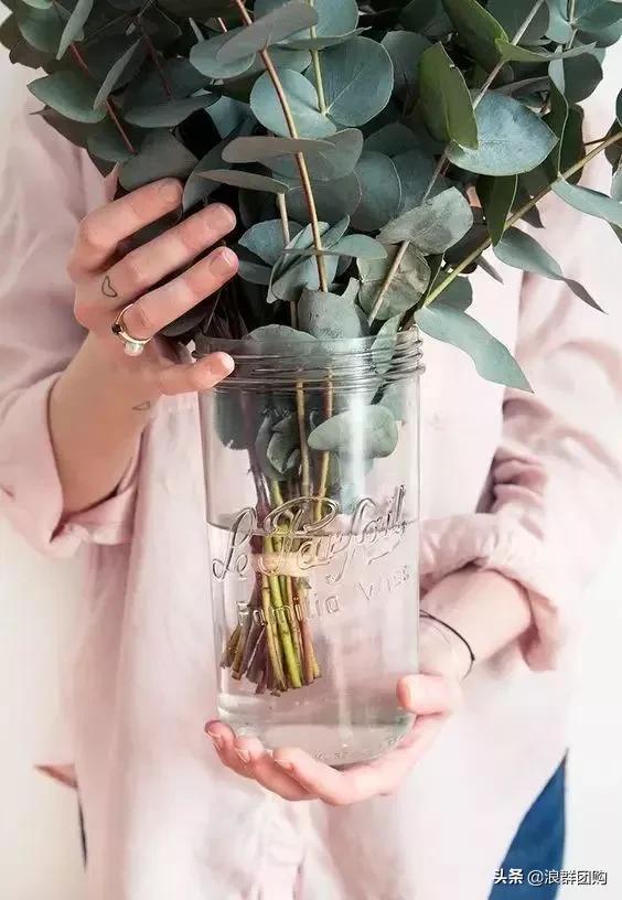 尤加利灰色好看吗,尤加利青配色图片