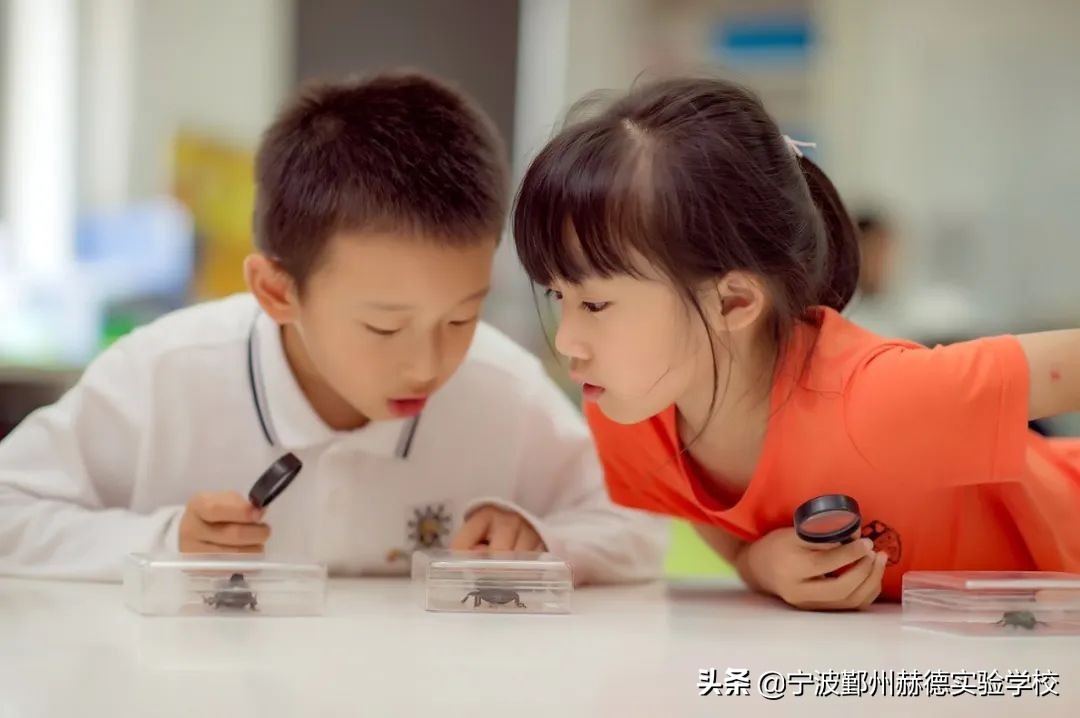 宁波鄞州赫德实验学校有普通班吗,宁波鄞州赫德实验学校学费