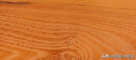 木纹最好看的木材图片,各种木材纹理图片与名称