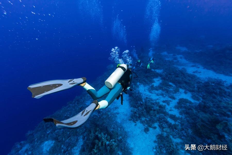 迪卡侬有多强大,迪卡侬到底有多强大