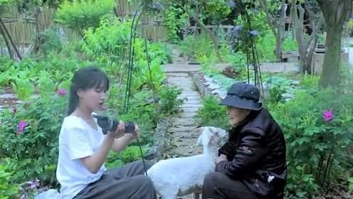 李子柒乡村振兴大使,李子柒乡村文化振兴