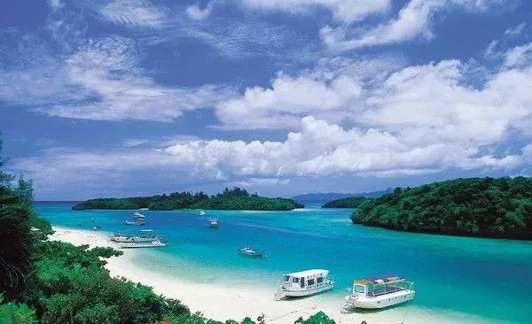 这些中国之最你知道吗,中国之最全部视频