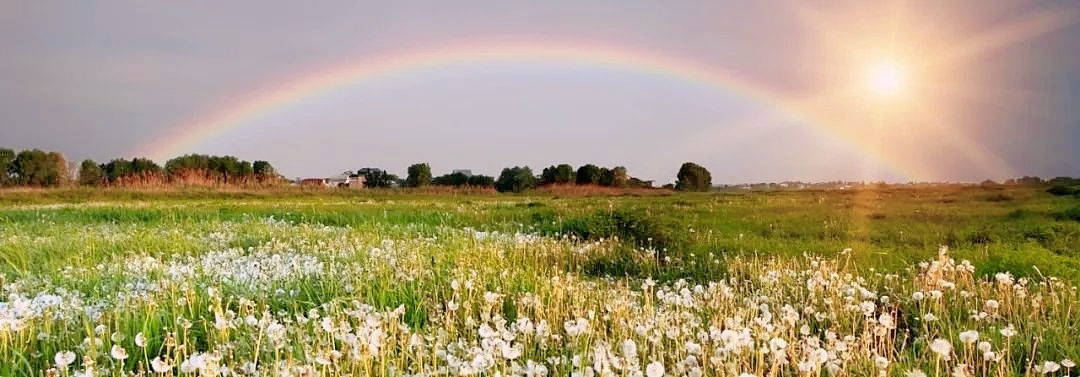 中考英语单词高频词汇总图片,中考英语首字母高频单词