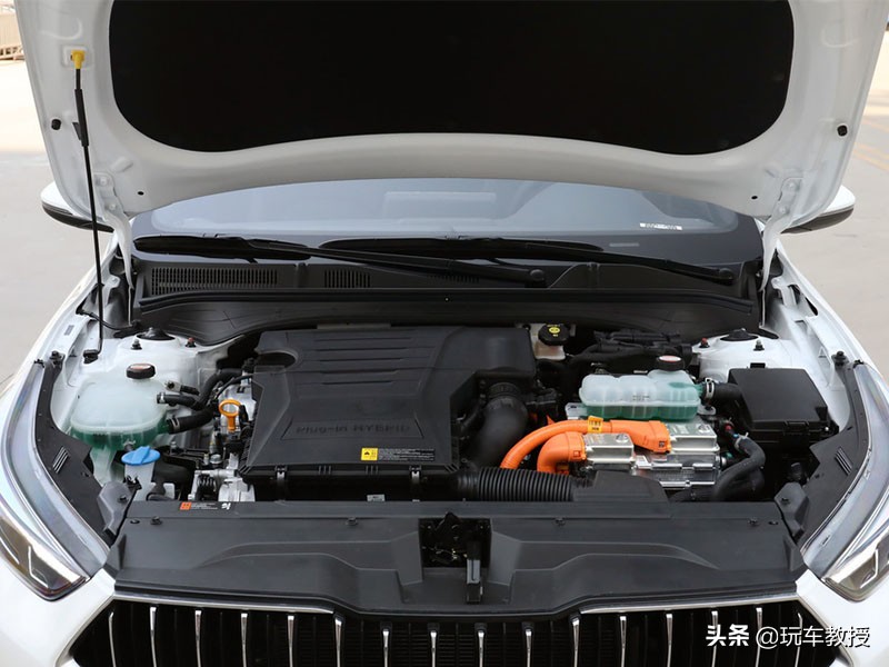 忘了他吧我开卡车养你完整版,忘掉他吧我养你什么梗