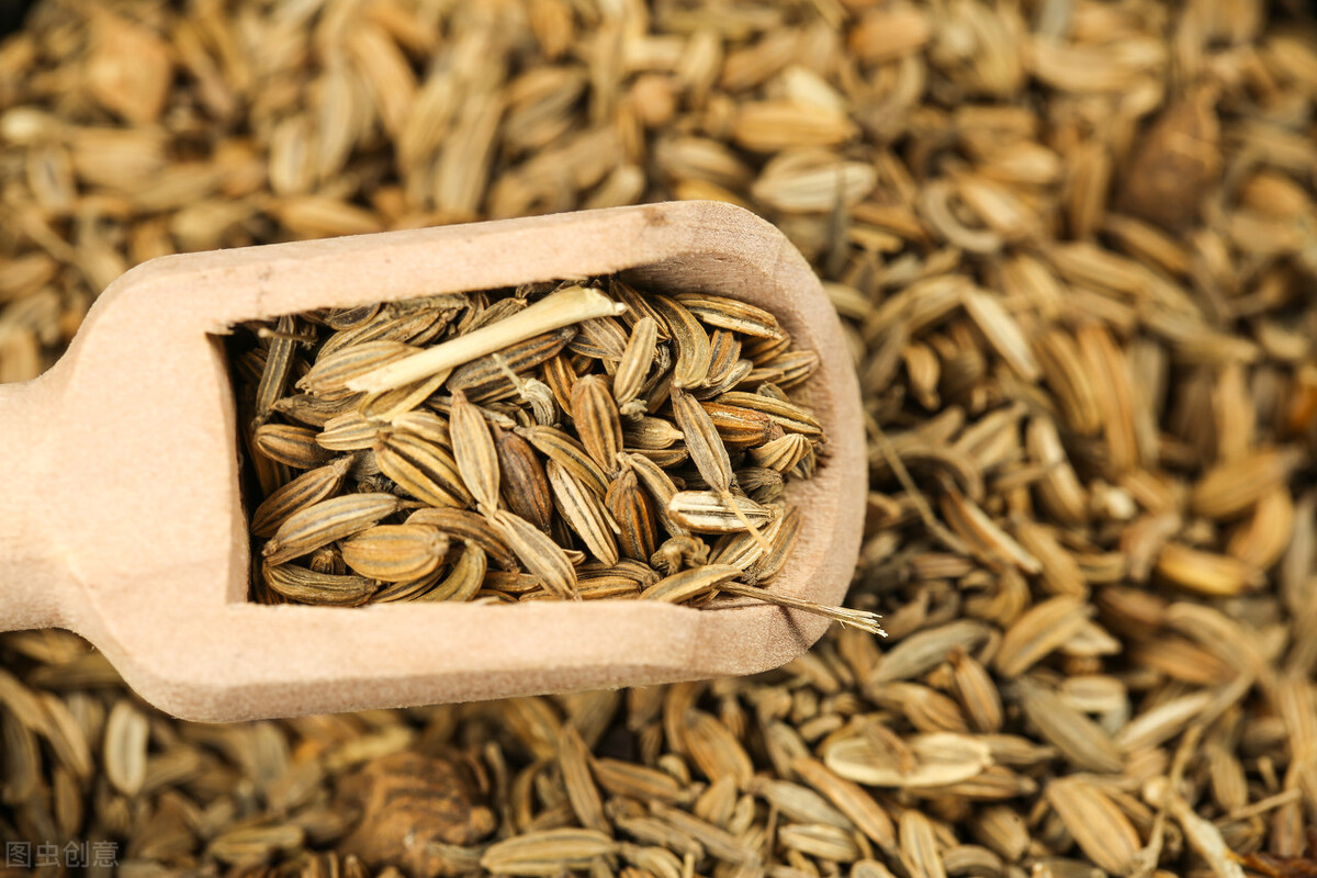 散寒暖宫调理妇科中药,温补肾阳活血祛瘀方剂