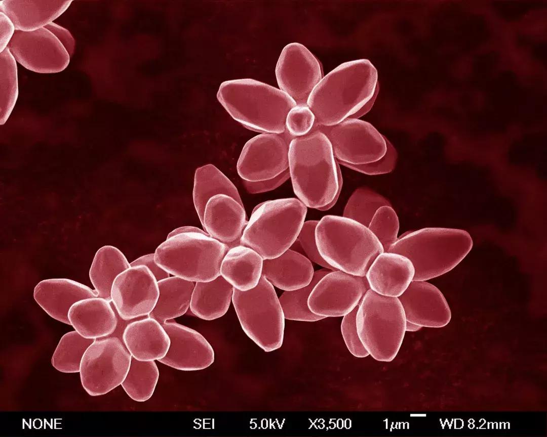 摄影大赛征稿|赋予色彩的世界