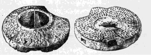 顶级石磨,国宝品鉴酒