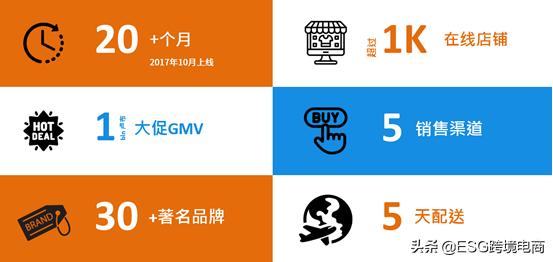 mymall平台,俄罗斯mymall电商平台