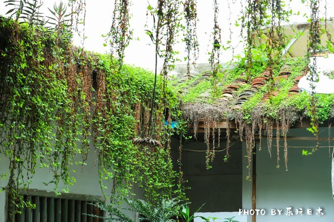 惠州东江十大美食,正宗惠州东江菜