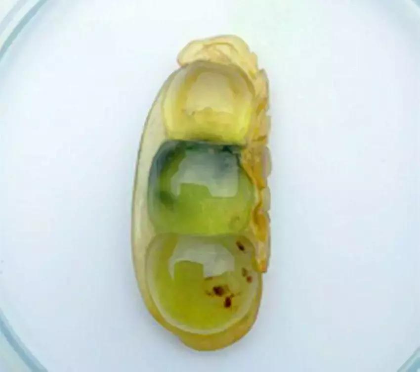 十大流行翡翠排行榜,翡翠有哪四大冒牌货