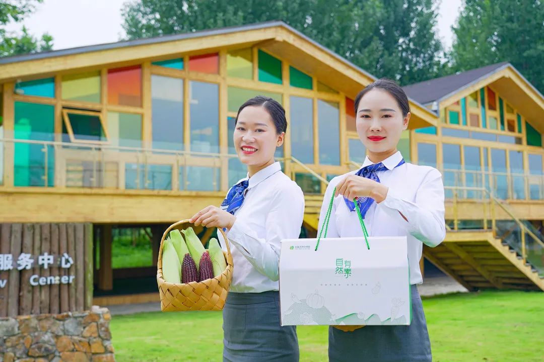 高甜来袭浙农林,高甜来袭国产