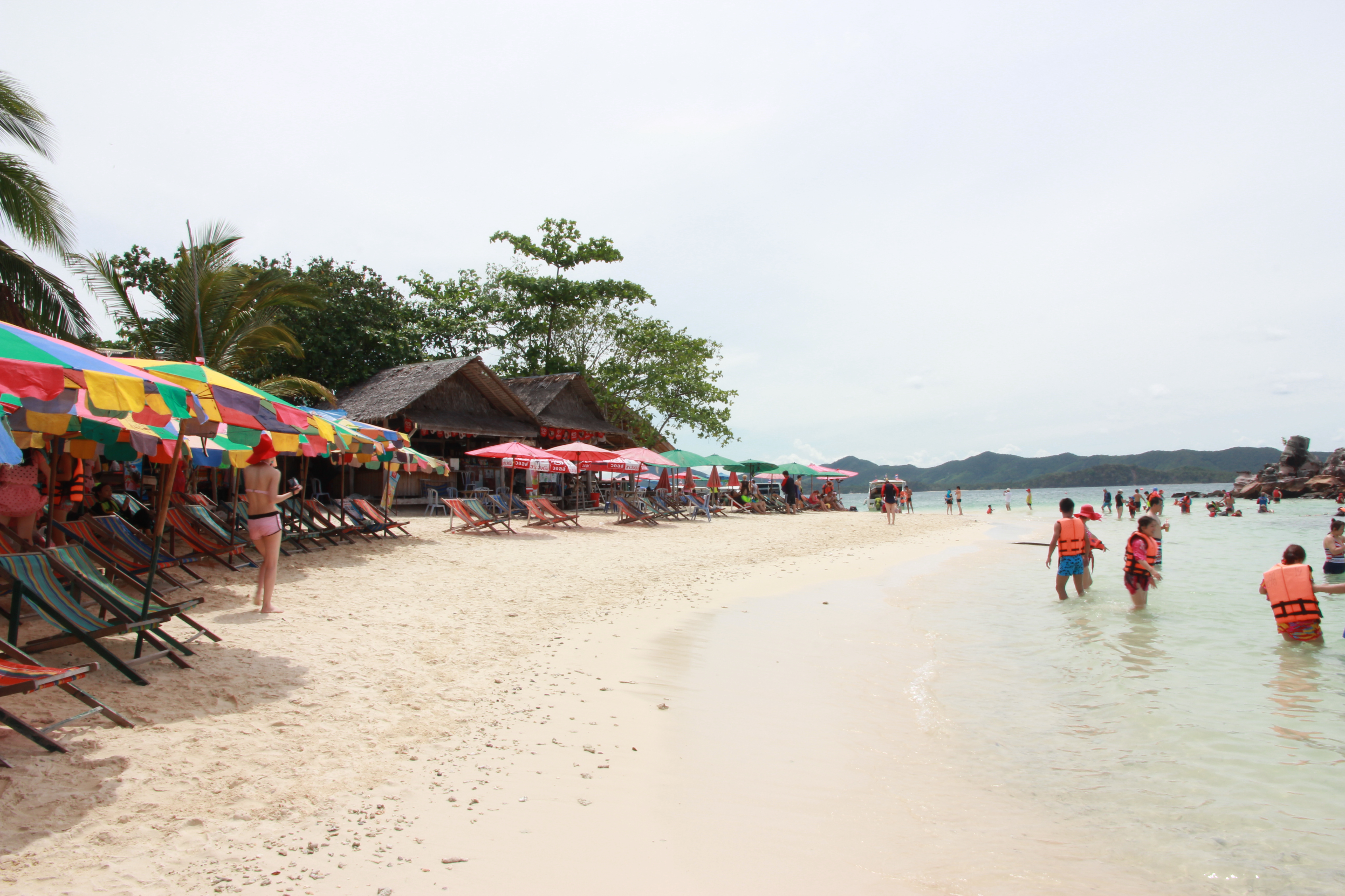在普吉岛浮潜拍到的美妙海底世界 (普吉岛cape panwa hotel浮潜)