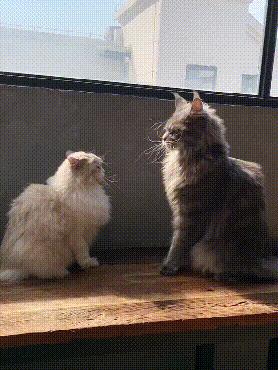 每日一笑看完你能不能忍住不笑,每日一笑看了让你笑