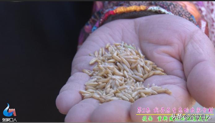 张家口莜面历史,北京人吃莜面是从什么时候开始的