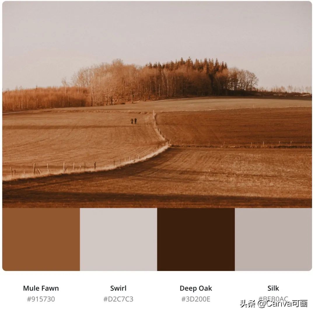 秋天配色插画秋高气爽,秋季高清插画