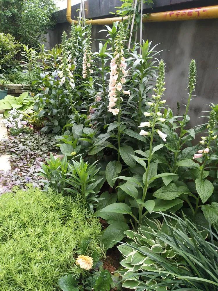 第七届园丁奖,第六届园丁奖奖励