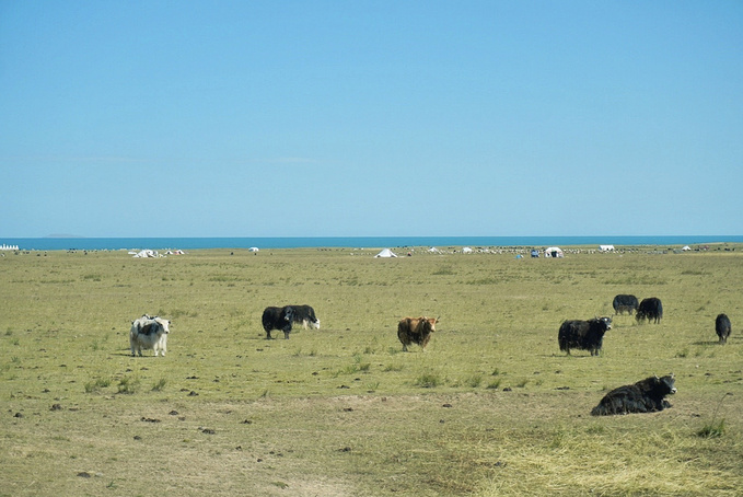 去一趟大西北的旅行,大西北旅行青藏高原
