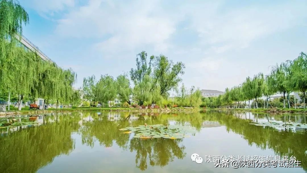 两汉三国，真美汉中|汉中职业技术学院