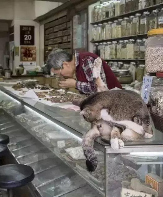 香港这家便利店的店长，靠着腮帮子走红了