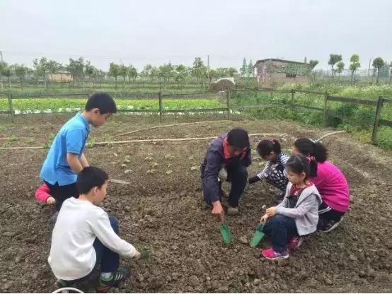 乐田市民家庭农场，德国海归博士送给女儿的礼物