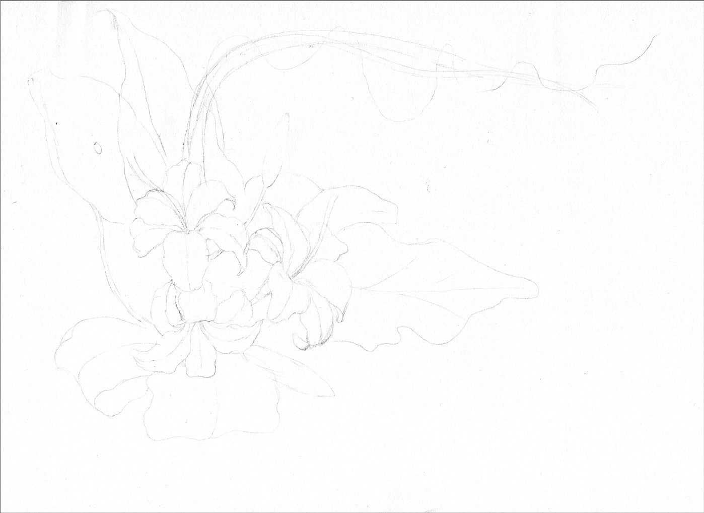 插画绘画教程纸绘,怎么画简单好看的插画教程