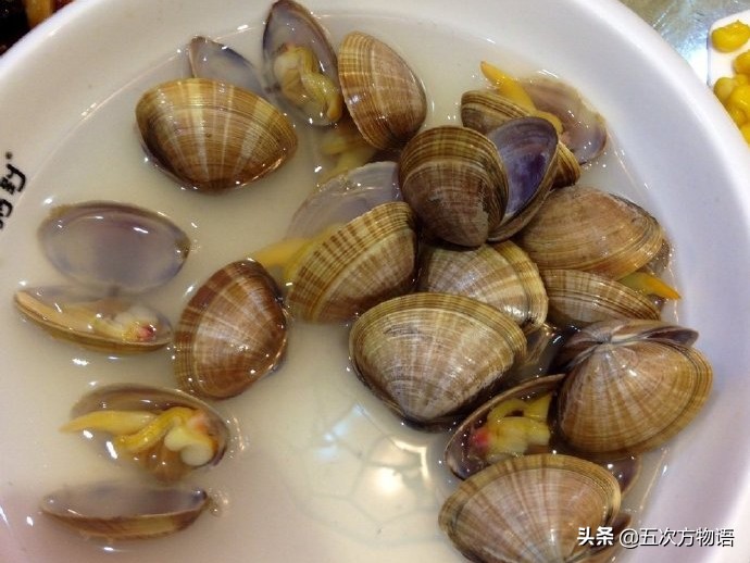 中国蛤蜊在日本,正宗的海南蛤蜊
